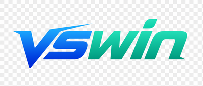 VSWIN
